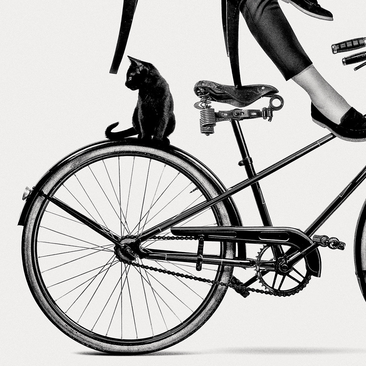 Dark Elegance | Monochrome