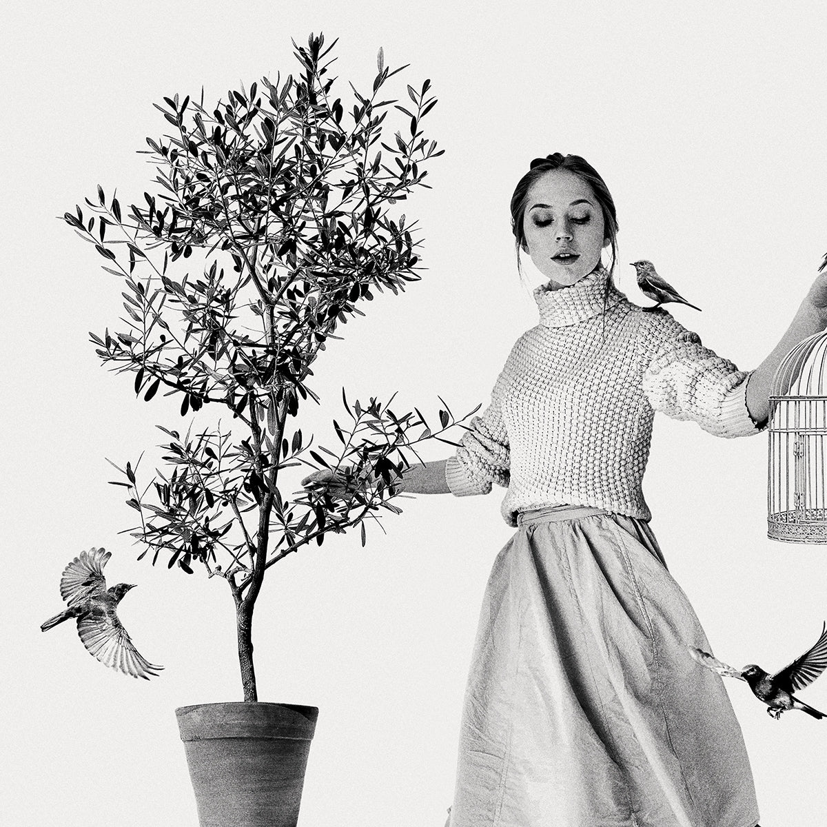 Free Your Dreams | Monochrome