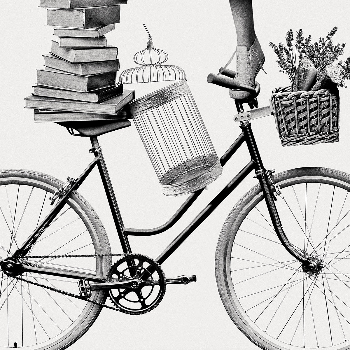 Free Your Dreams | Monochrome