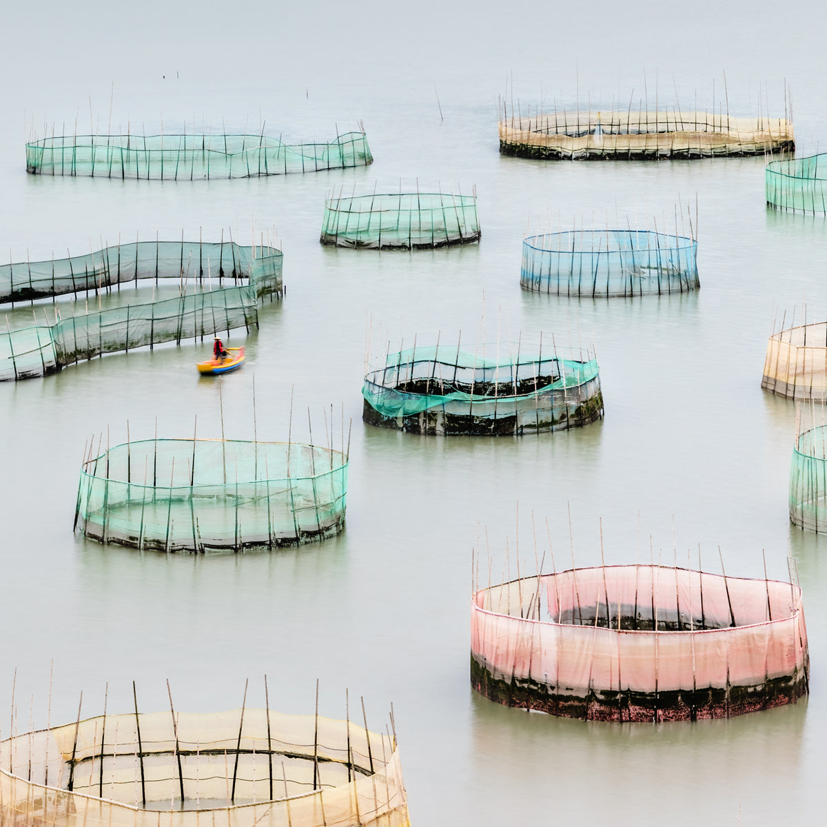 Circles On the Water | Panorama