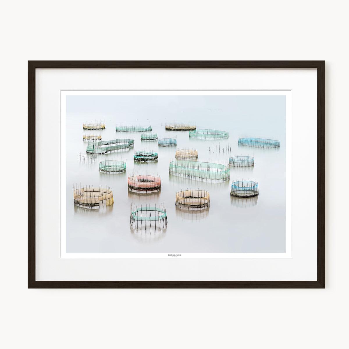 Circles On The Water