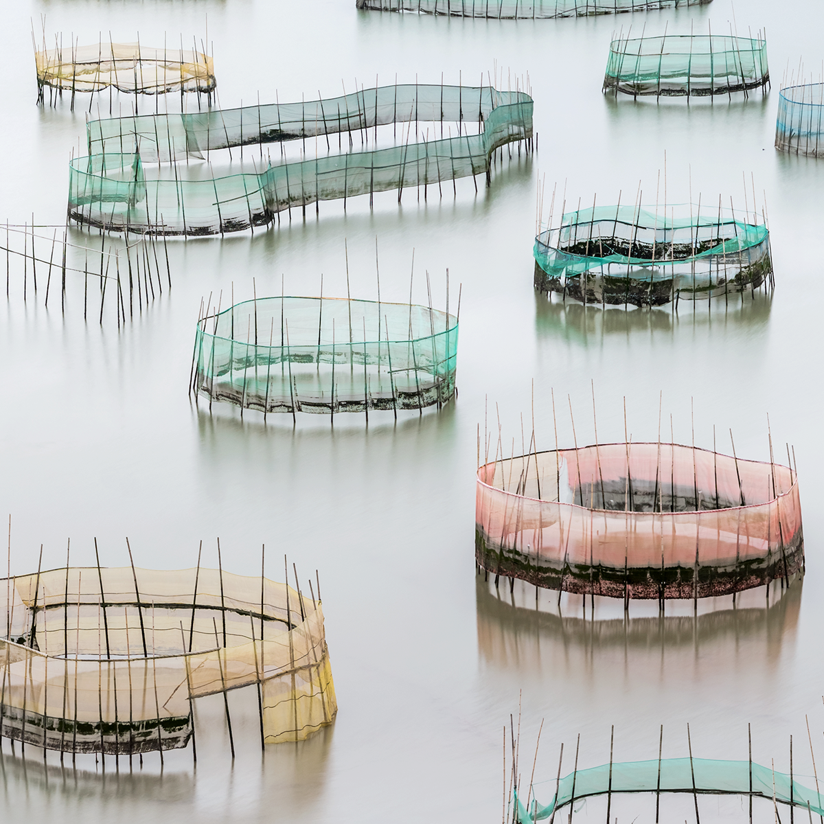 Circles On The Water