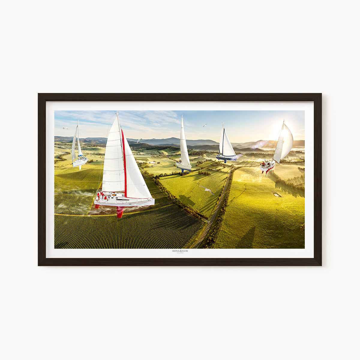 Regatta /  Series 01