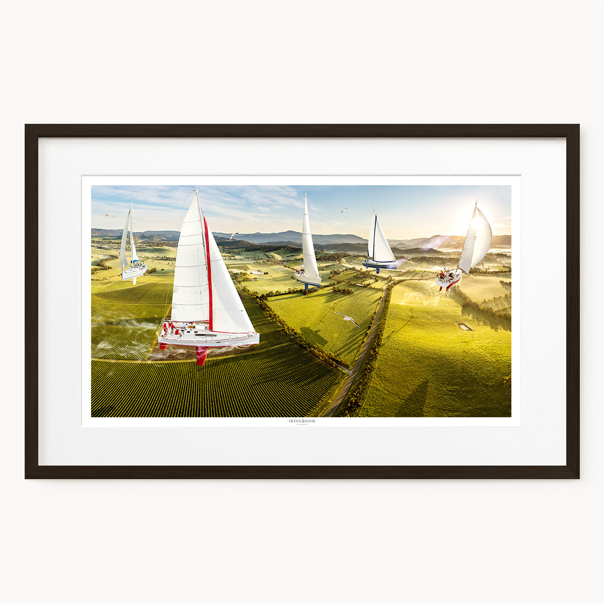 Regatta /  Series 01