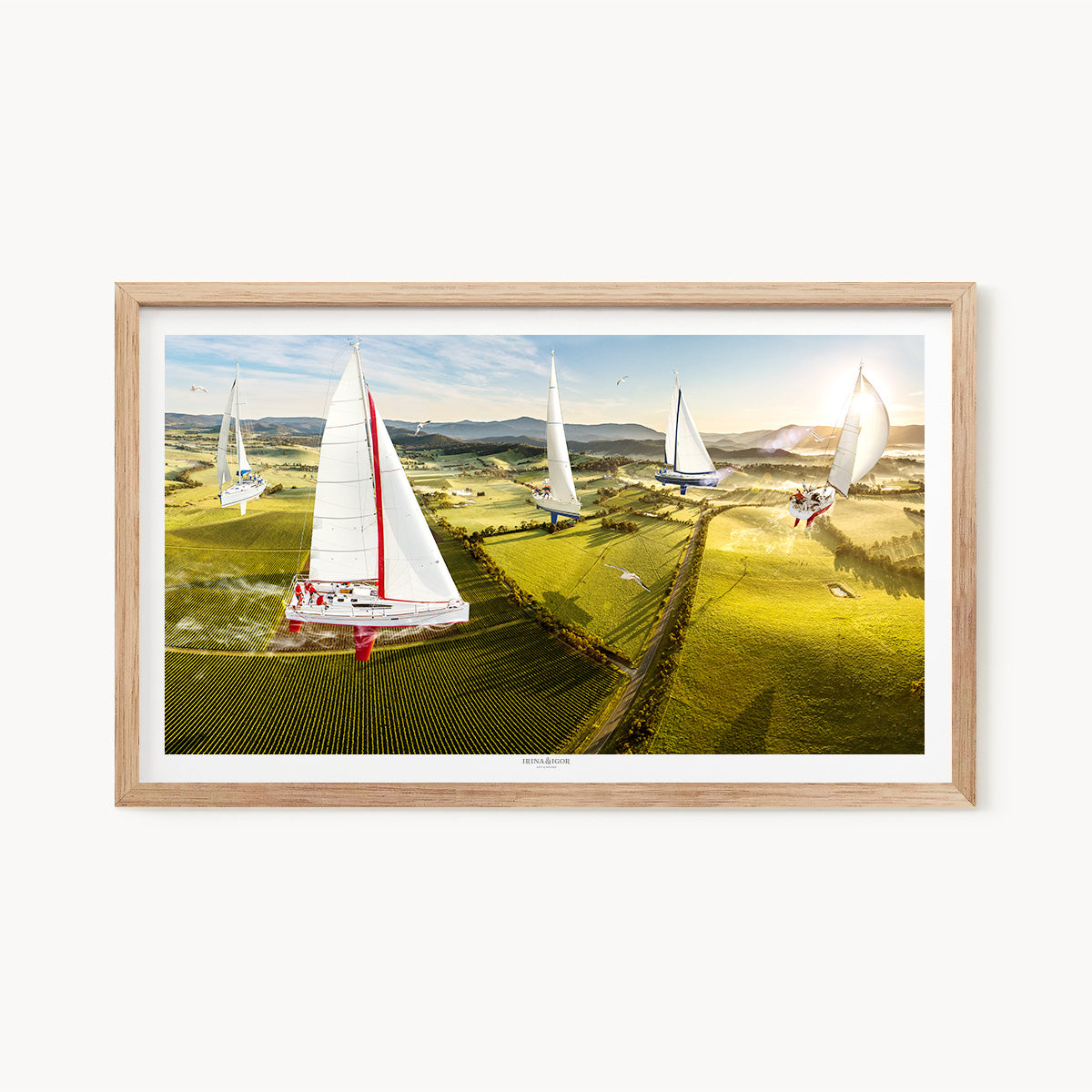 Regatta /  Series 01