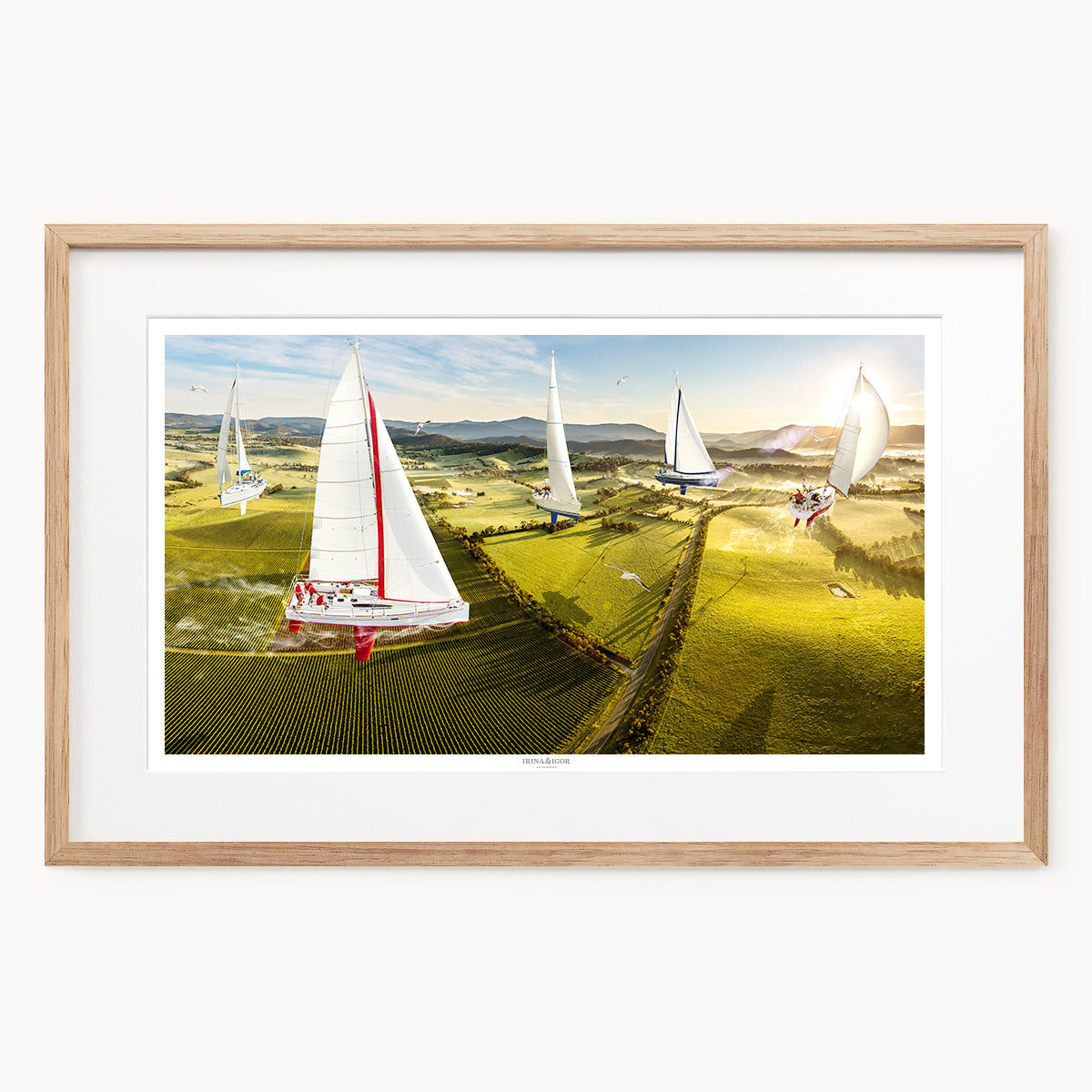 Regatta /  Series 01