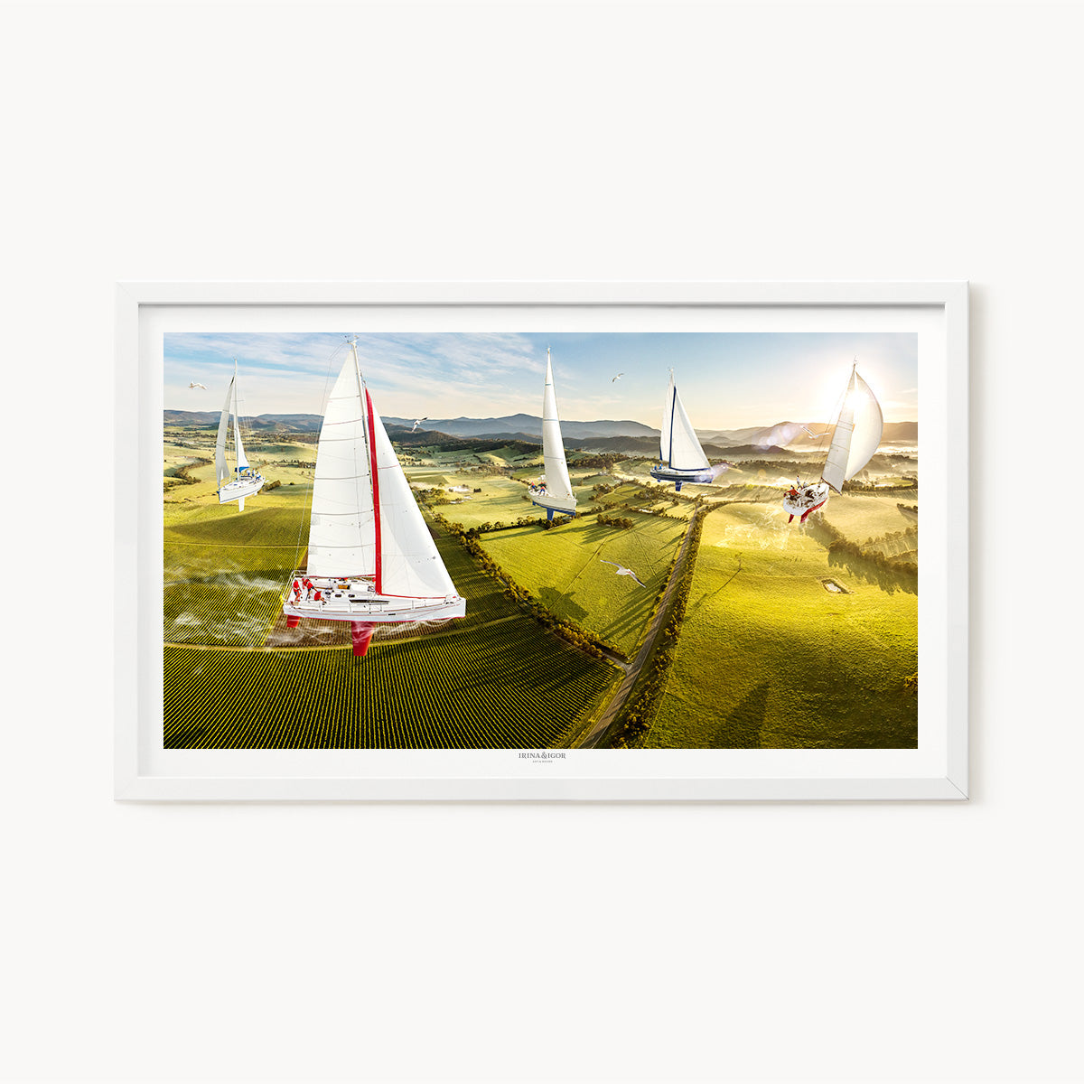 Regatta /  Series 01