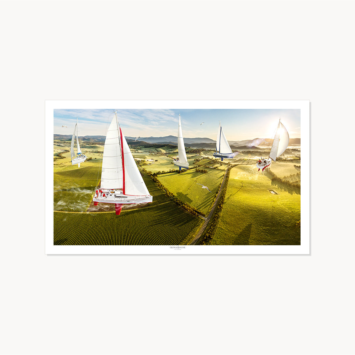 Regatta /  Series 01