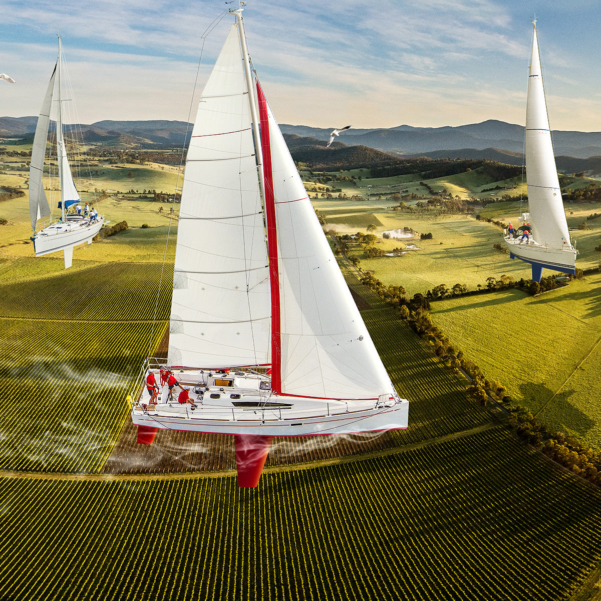 Regatta /  Series 01