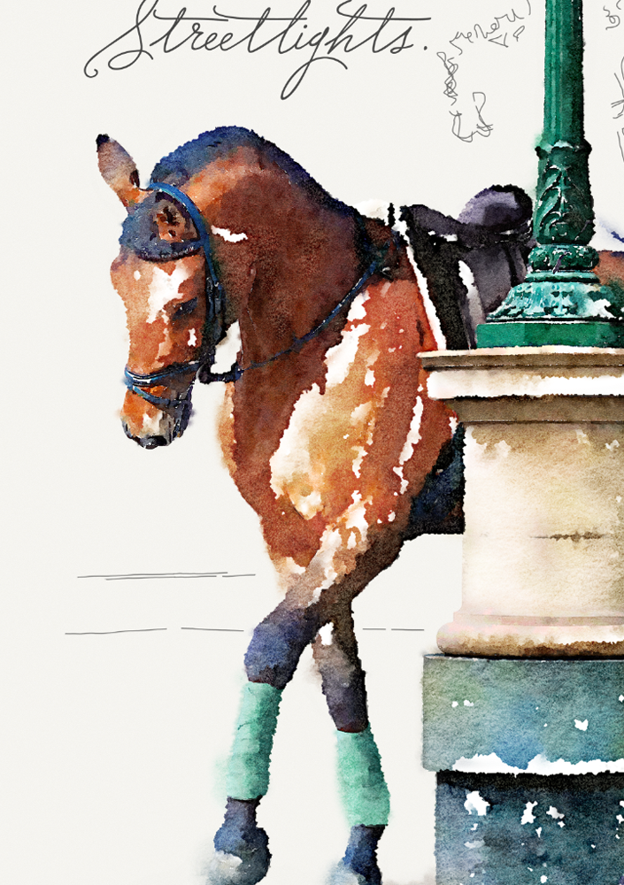 Elegance & Confidence | Collins St.